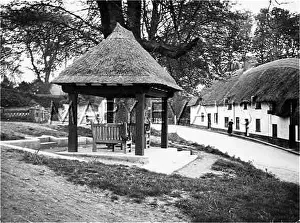 Administering: TOLPUDDLE MEMORIAL
