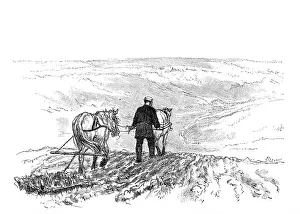 Harrowing: Tolstoy harrowing