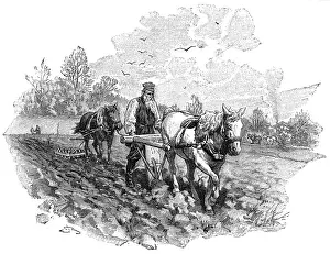 Plowing: Tolstoy plowing