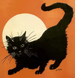 Felines: Tom-Boy Rag Two Step