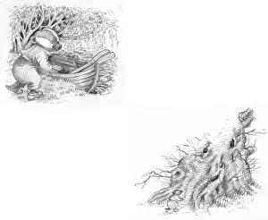 Gilder: Tom and the Enchanted Flute