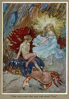 Kingsley: TOM AND THE FAIRY