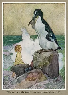 Weep: TOM AND THE GAIRFOWL