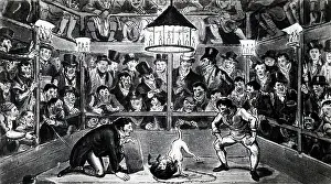1821: Tom and Jerry at the Westminster Pit watching