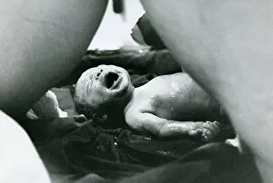 Roger Mayne: Tom, just born