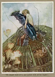 Kingsley: TOM AND THE LOBSTER POT