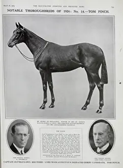 Thoroughbreds: Tom Pinch, Racehorse