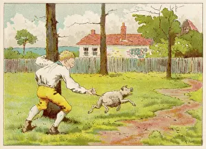 Pipers: Tom the Piper's Son grabs pig by tail
