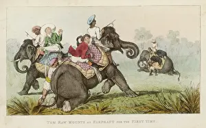 Mounts: TOM RAW ON ELEPHANT