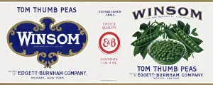 Peas: Tom Thumb Peas