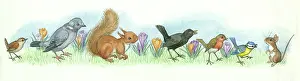 Mistake: Tom Tit's Mistake - birds and squirrel, mouse