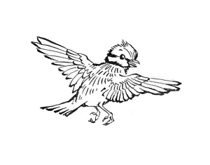 Storycard: Tom Tit's Mistake - blue tit flying