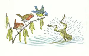 Mistake: Tom Tit's Mistake - blue tit, robin, wren, frog