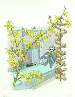 Mistake: Tom Tit's Mistake - blue tit at a window