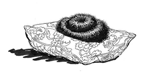 Storycard: Tom Tit's Mistake - hat on a cushion