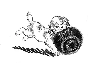 Storycard: Tom Tit's Mistake - puppy with hat
