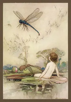 Dragonflies: TOM/WATER BABIES/1909