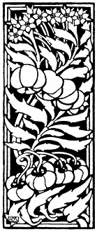 Lilley: Tomato