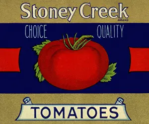 Ripe: Tomato