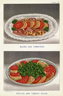 Carnivores: TWO TOMATO DISHES