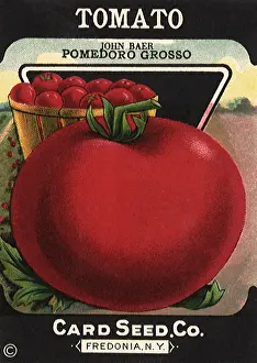Tomatoes: Tomato Seed Packet