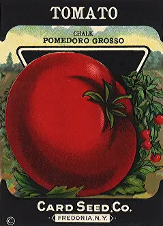 Ripe: Tomato Seed Packet