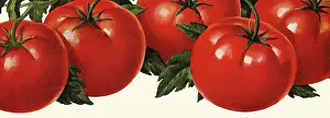 Luncheon: Tomato Soup