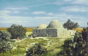 Cactuses: Tomb of the Daughters of Jacob, Holy Land