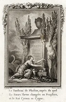 Poplars: THE TOMB OF PHAETON