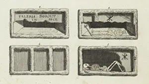 Palm Frond: Tombs in the Catacombs of Rome