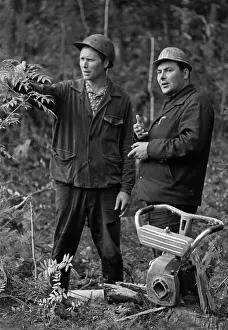 Tomsk: Tomlesprom Asinovsky Forestry