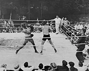 Sharkey: Tommy Loughran against Jack Sharkey