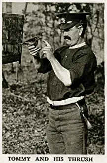 Thrush: Tommy and his thrush, WW1