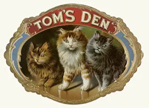 Picturpic: Tom's Den Cigar Label with Cats