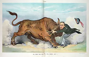 Suggesting: He took the bull by the horns; but -