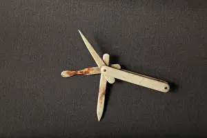 Toothpick: Toothpick set, castle of Chateau-Thierry, Picardy, France
