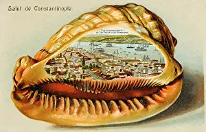 Tophane and the Bosphorus, Istanbul