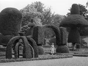 Levens: Topiary at Levens Hall, Cumbria
