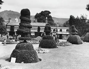 Plas: TOPIARY AT PLAS NEWYDD