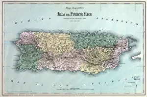 Topographic: Topographic map of the island of Puerto ?