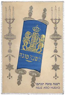 Confronting: The Torah
