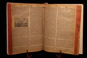 Ines: Torah, Palacio de los Olvidados, Granada, Andalusia, Spain