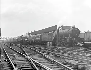Gresley: Torbay Express steam train