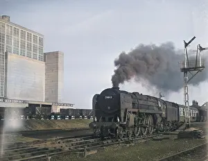 Torbay Express steam train