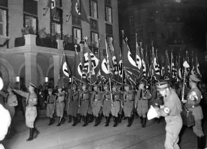 Organisations: Torchlight procession of political leaders