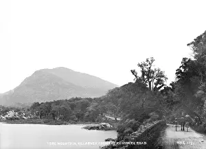 Kerry: Tore Mountain, Killarney, from the Kenmare Road