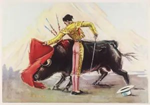 Bullring: TOREADOR AND BULL