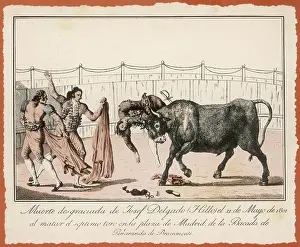 Toreador: Toreador Killed - 1801