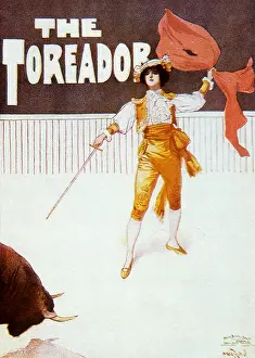 Bullfight: Toreador Vs. Bull