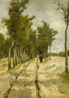 Ruts: Torenlaan Laren